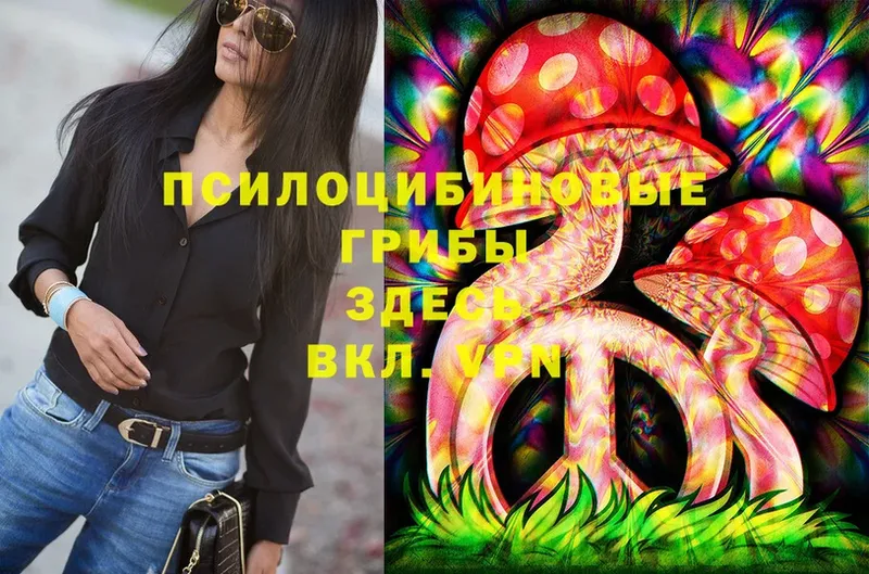 Псилоцибиновые грибы Cubensis  Киренск 